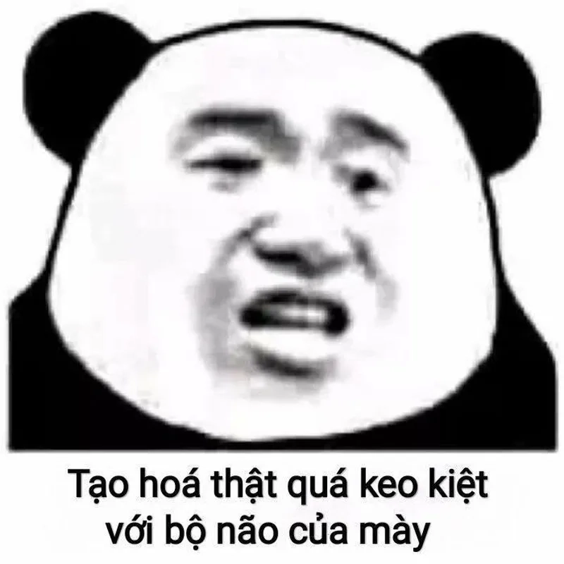 Language meme thể hiện sự hài hước trong giao tiếp