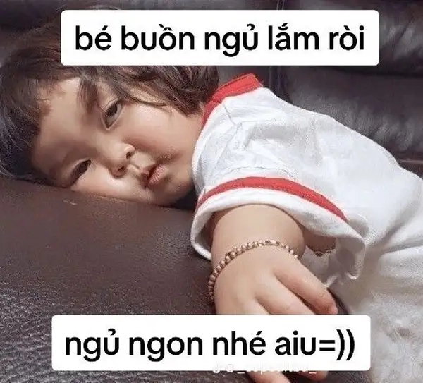 Ảnh ngủ meme dễ thương khiến bạn không thể nhịn cười