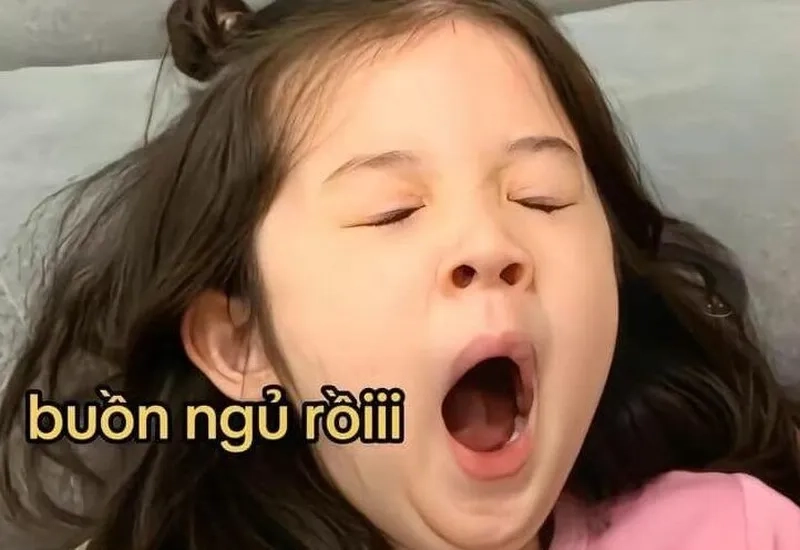 Ảnh đi ngủ meme mang lại niềm vui cho người xem