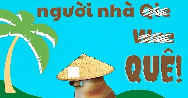 Ảnh ngại ngùng meme luôn thu hút sự chú ý với sự đáng yêu