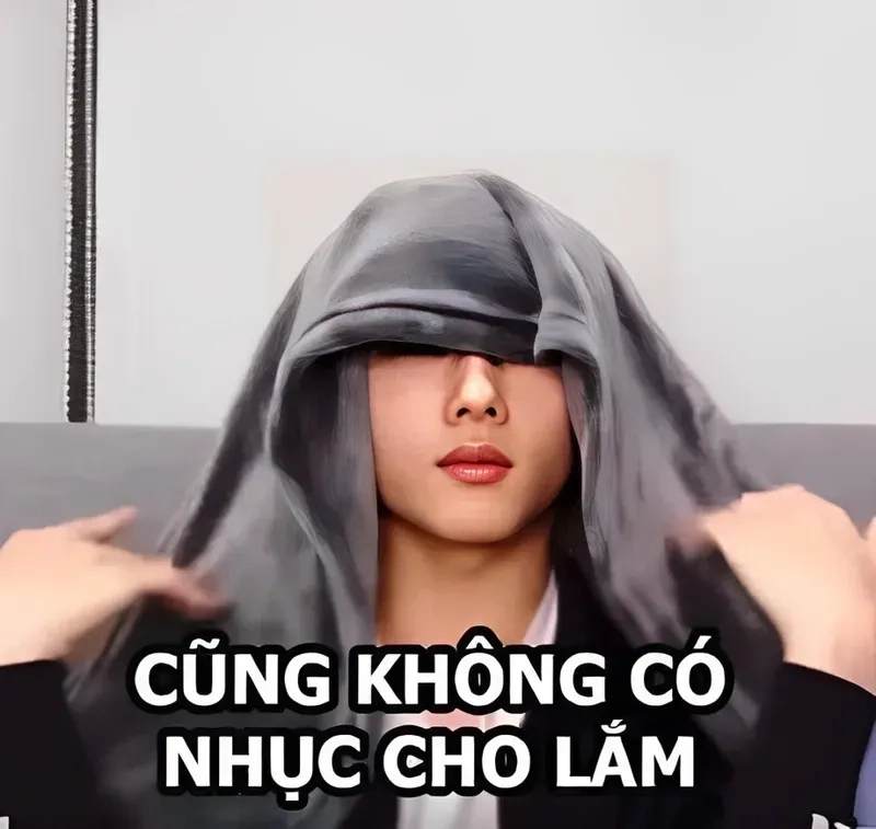 Meme mèo ngại mang đến sự hài hước và vui nhộn