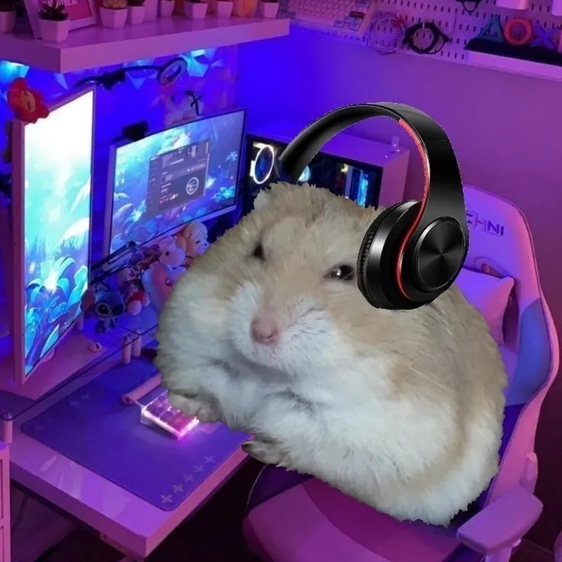 Sad hamster meme dễ thương khiến bạn cảm thấy vui vẻ