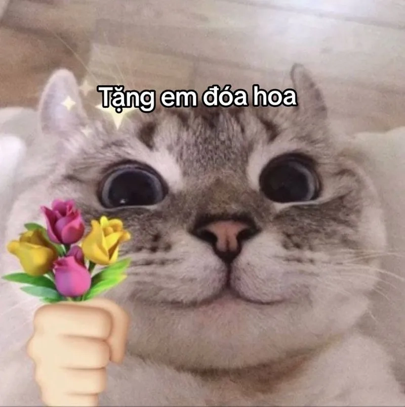 Tặng bông hoa meme thật dễ thương và hài hước