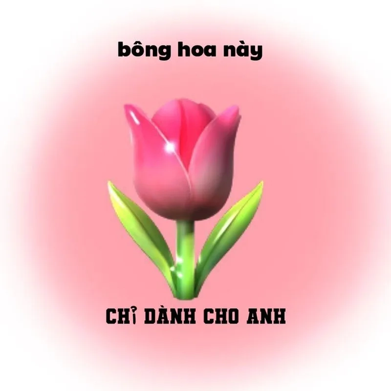 Ảnh meme tặng hoa mang lại tiếng cười bất ngờ