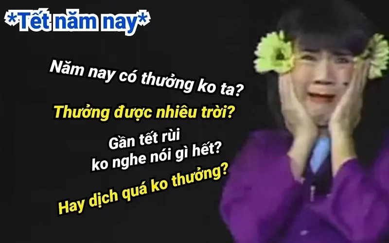 Meme tết 2024 mang lại niềm vui cho năm mới