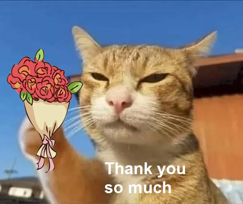 Meme thank you for listening khiến bạn cảm thấy được trân trọng