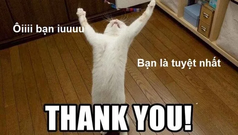 Crying thank you meme khiến bạn cảm thấy đồng cảm