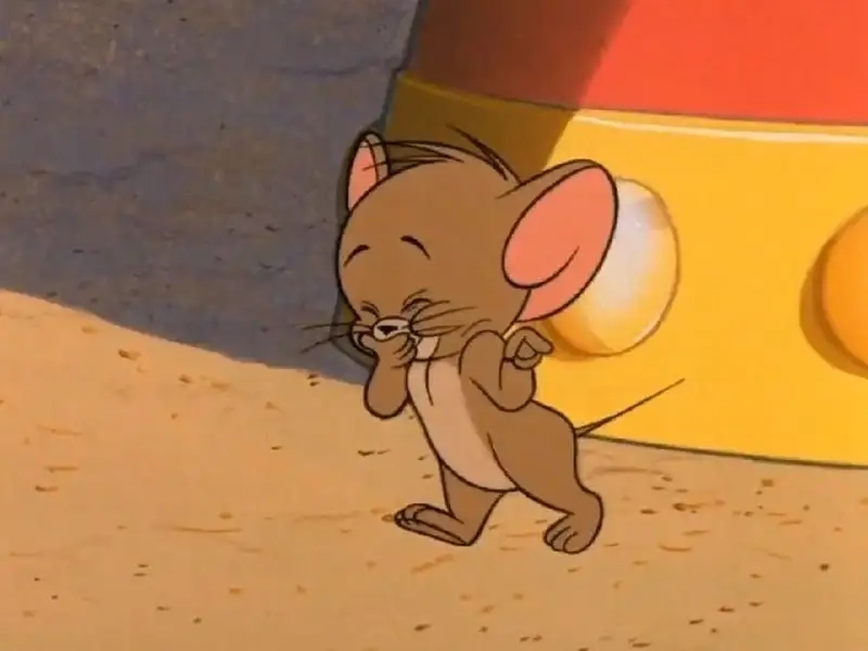 Tom jerry meme thật hài hước và thú vị cho fan của bộ phim