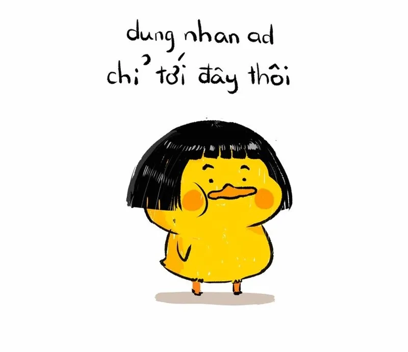 Khám phá ảnh con vịt meme hài hước và dễ thương