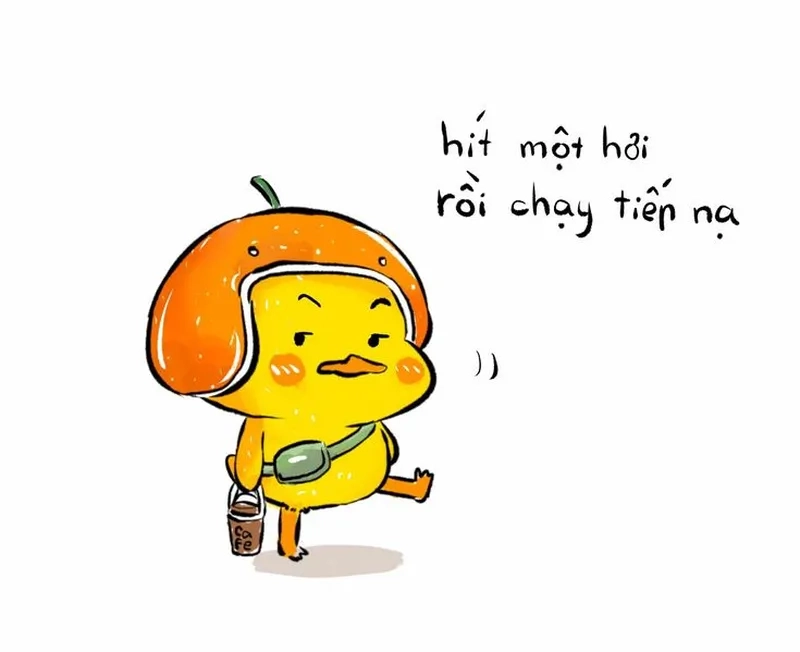 Meme ảnh con vịt chế mang lại tiếng cười sảng khoái