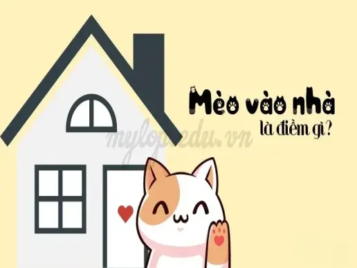 Mèo vào nhà có sao không? Tốt hay xấu theo từng loài mèo