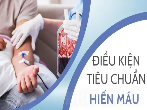 Quy định hiến máu - Điều kiện sức khỏe và các tiêu chuẩn cần tuân thủ