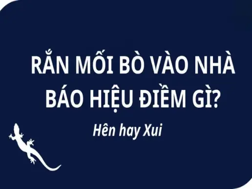 Rắn mối vào nhà có điềm gì? Giải mã ý nghĩa chi tiết