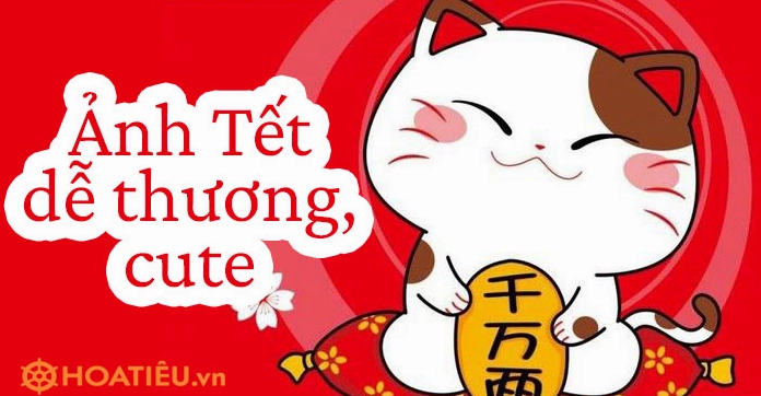 Avatar Tết 2026 Đẹp Nhất: Tuyển Chọn Khung Ảnh Đại Diện Độc Đáo Cho Năm Mới