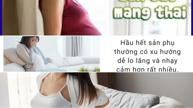 Bí quyết thấu hiểu tâm lý phụ nữ khi mang thai lần đầu chuẩn xác