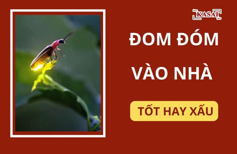 Đom Đóm Bay Vào Nhà Là Điềm Gì? Giải Mã Ý Nghĩa Tâm Linh