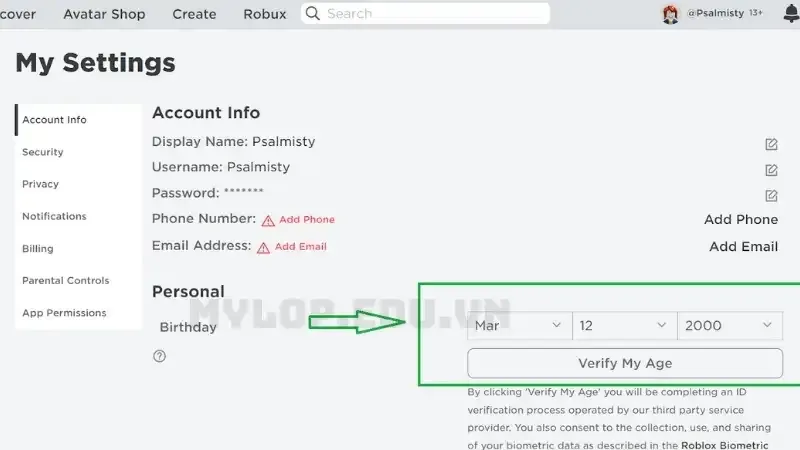 Hướng dẫn cách xác minh tuổi để bật Voice chat trong Roblox