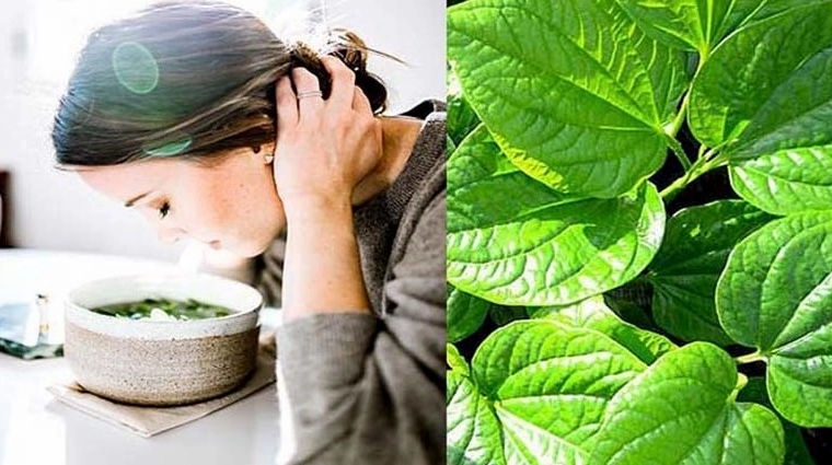 Mẹo Chữa Dị Ứng Thời Tiết Tại Nhà Hiệu Quả và An Toàn