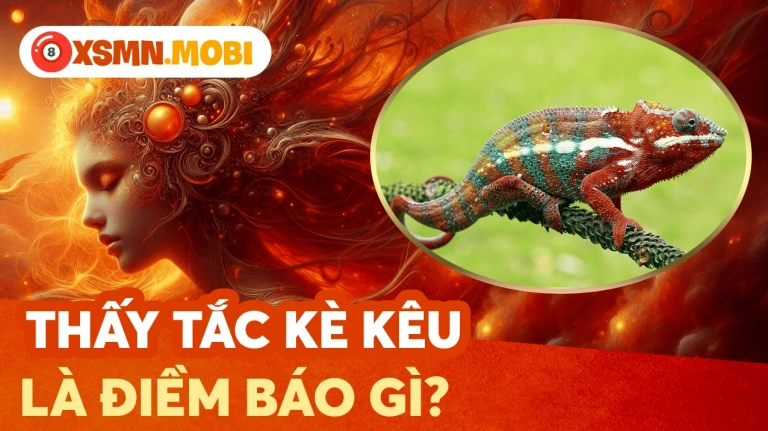 Tắc kè Kêu 9 Tiếng Là Điềm Gì Giải Mã Ý Nghĩa Phong Thủy Năm 2026