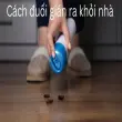 Cách đuổi gián ra khỏi nhà triệt để không để lại dấu vết nào