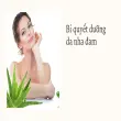 Cách dưỡng da bằng nha đam trắng mịn tôi đã kiểm chứng