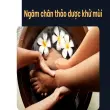 Bí quyết chữa hôi chân dứt điểm giúp tôi tự tin cởi giày
