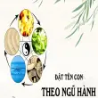Quy tắc đặt tên con theo ngũ hành cho bé thông minh