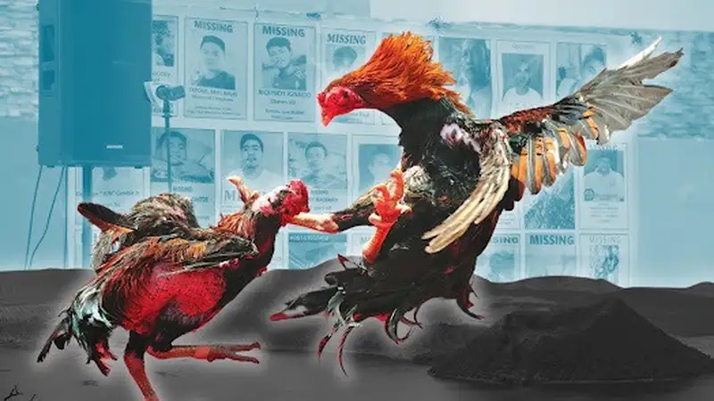 Mẹo soi chân vảy chiến kê Philippines cực chuẩn