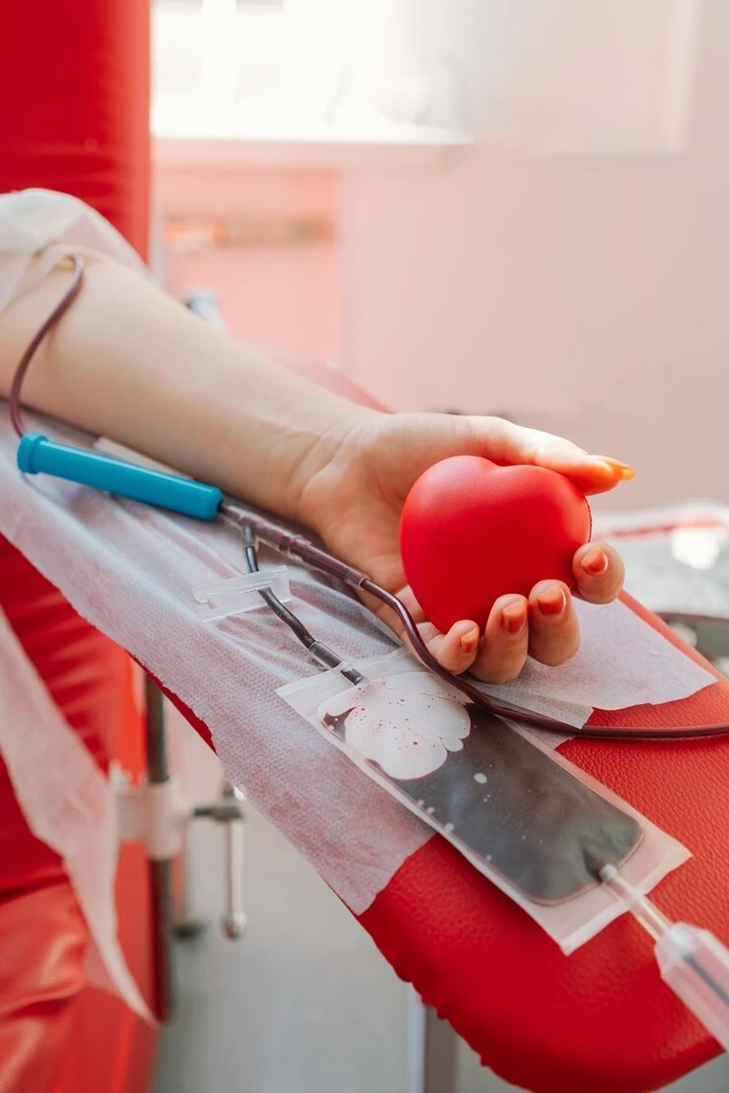 Tham khảo hiến máu xong nên ăn gì giàu dinh dưỡng