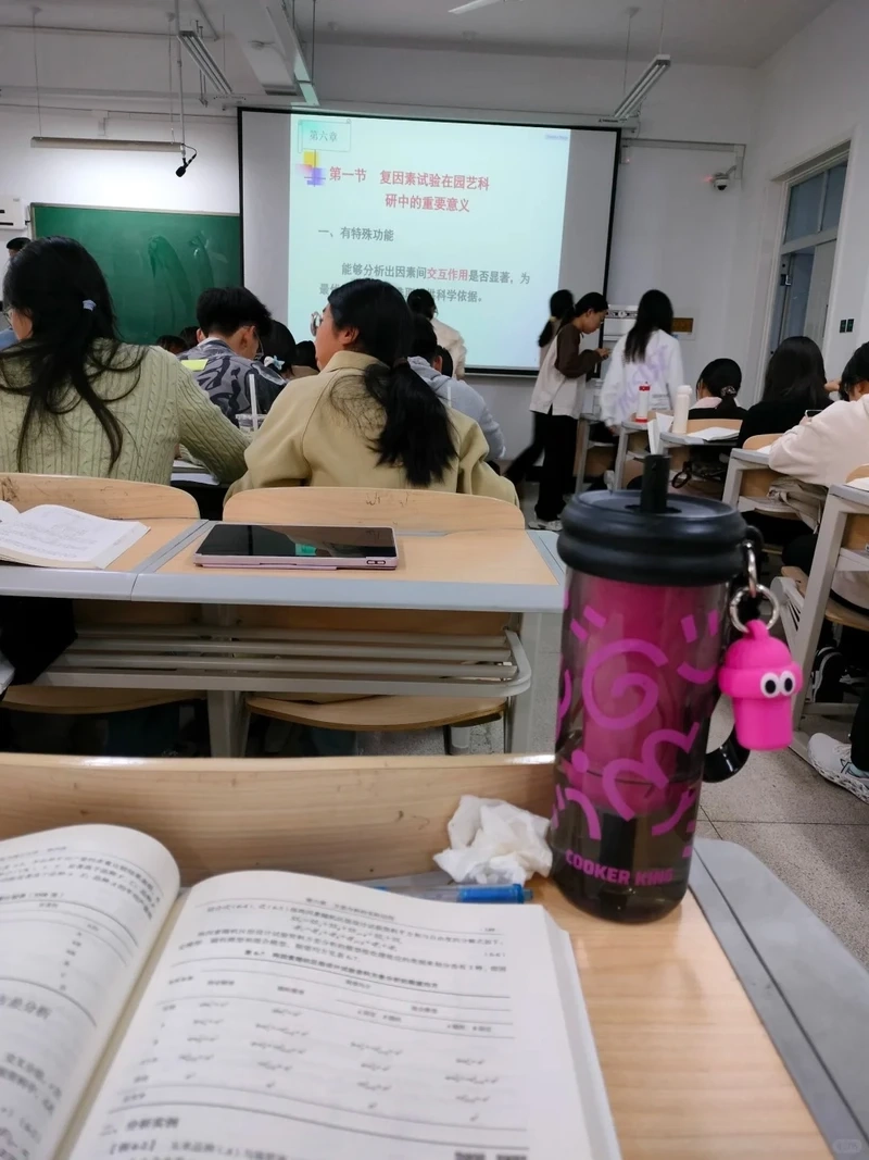 Danh sách những kỹ năng cần có của sinh viên thời đại mới