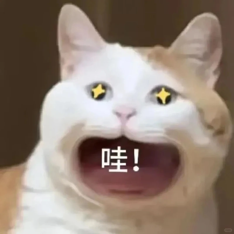 Cảm xúc bùng nổ cùng wow meme gif