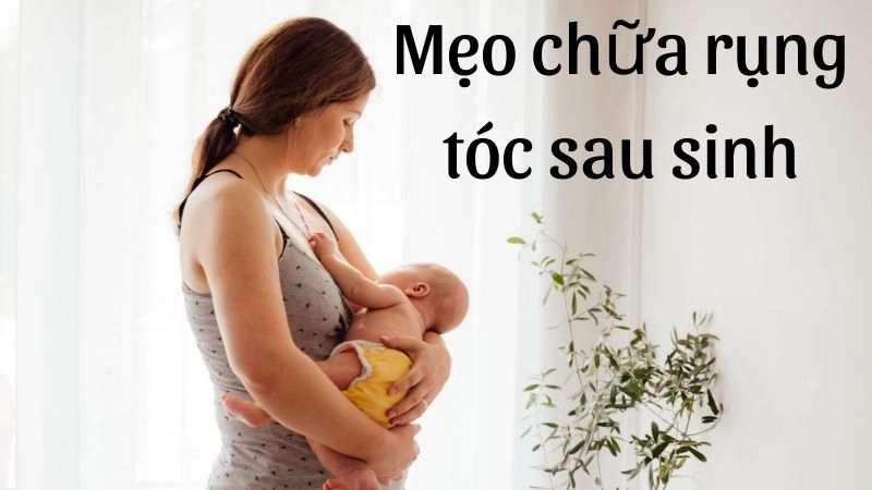 Bí quyết hồi sinh nang tóc từ dưỡng chất tự nhiên