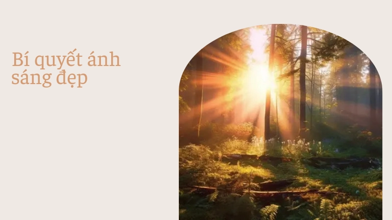 Bí mật về ánh sáng giúp ảnh lung linh