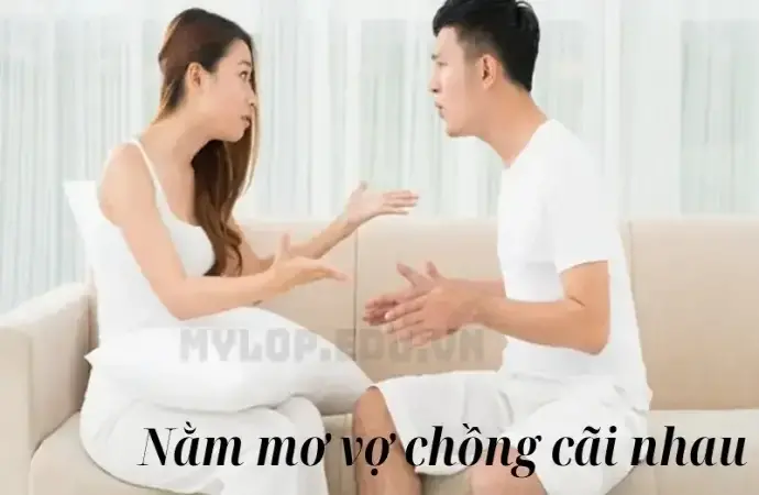 Nằm mơ vợ chồng cãi nhau - Giấc mơ cảnh báo hay điềm lành?