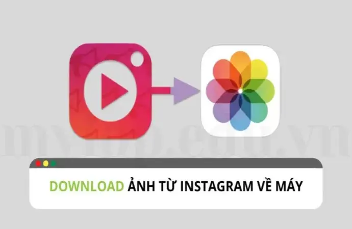 Cách tải ảnh instagram đơn giản và nhanh chóng