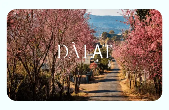 Du lịch Đà Lạt- Cẩm nang khám phá xứ sở sương mù từ A-Z