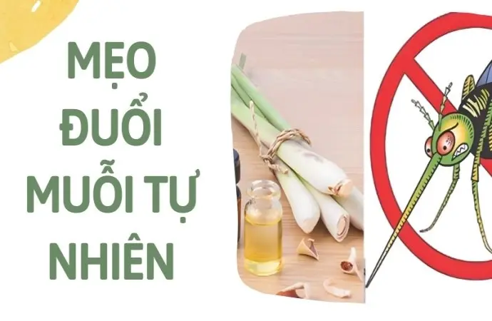 Mẹo đuổi muỗi tự nhiên, an toàn cho mọi thành viên trong nhà
