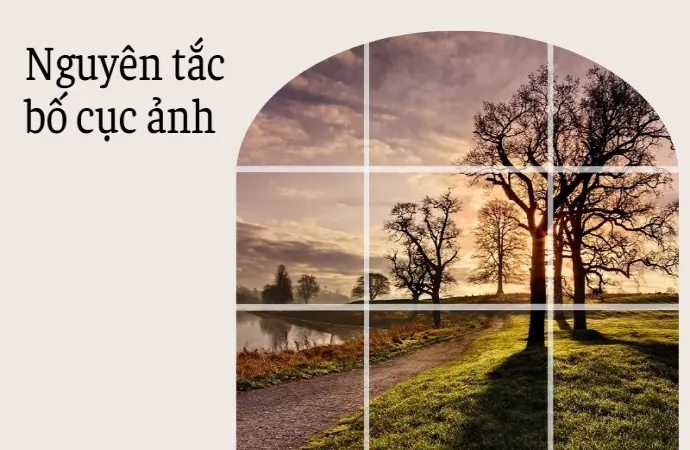 Cách chụp ảnh bằng điện thoại đẹp như máy cơ cho dân mê ảnh