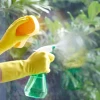 Bí quyết lau cửa kính sạch bóng loáng, không vết bẩn