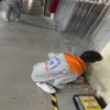 Chuột Vào Nhà Là Điềm Gì? Giải Mã Điềm Báo Tâm Linh và Cách Xử Lý Hiệu Quả