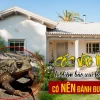 Cóc vào nhà có điềm gì? Giải mã ý nghĩa và những điều cần biết