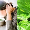 Mẹo Chữa Dị Ứng Thời Tiết Tại Nhà Hiệu Quả và An Toàn