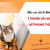 Mèo Tới Nhà Là Điềm Gì? Giải Mã Ý Nghĩa Và Cách Ứng Xử Đúng Phong Thủy