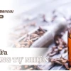Mẹo trị đau răng hiệu quả và nhanh chóng tại nhà