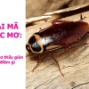 Thấy Gián La Điềm Gì? Giải Mã Giấc Mơ và Ý Nghĩa Tâm Linh