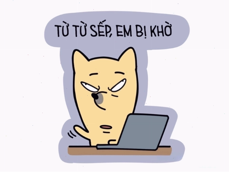 Avatar meme hài hước với hình ảnh nhân vật đang hoang mang và dòng chữ từ từ sếp em bị khờ