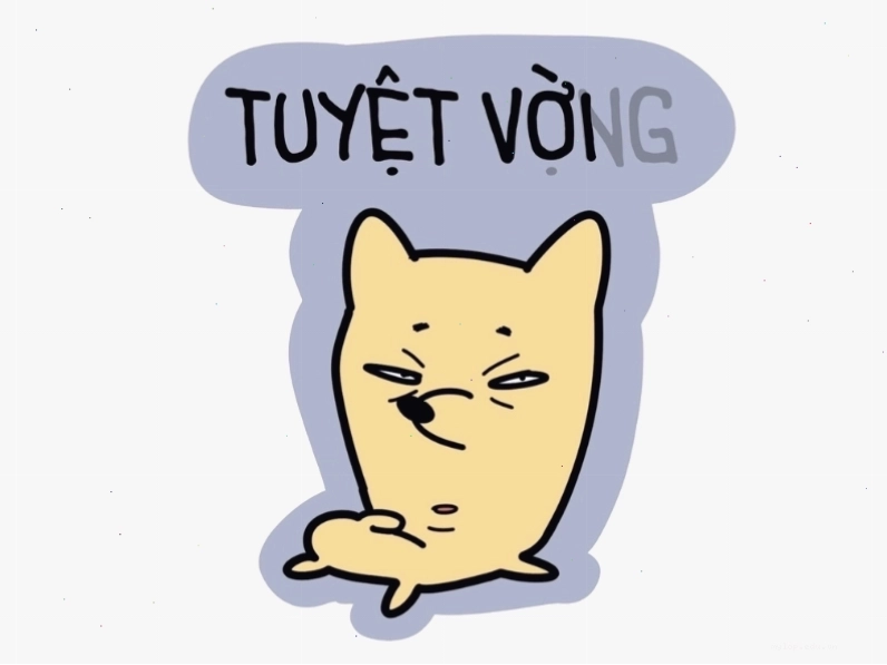 Avatar meme với dòng chữ Tuyệt vời và tuyệt vọng