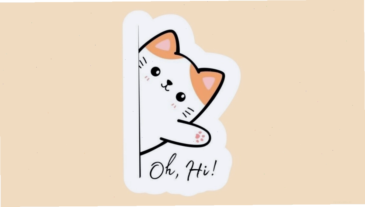 Avatar mèo chibi đội mũ