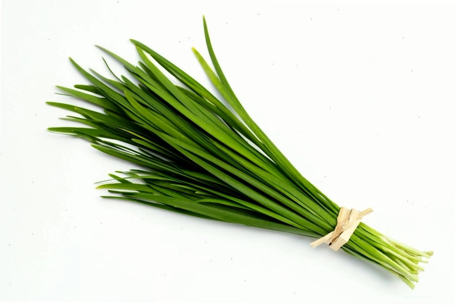 Bài thuốc chữa ho bằng lá hẹ và đường phèn rất hiệu quả cho trẻ nhỏ