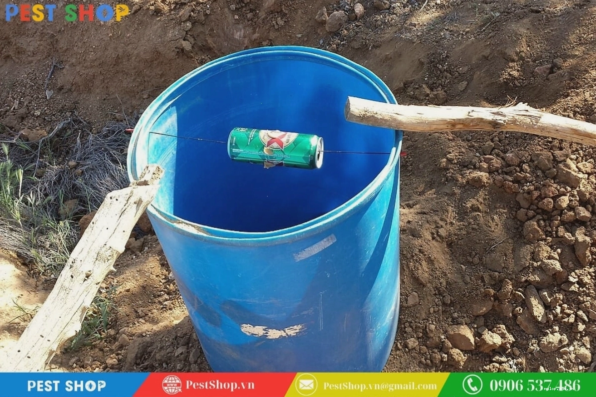 Bẫy chuột bằng thùng sơn cũ rất dễ thực hiện